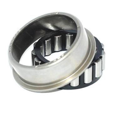  F-220006 INA Cylindrical roller bearing