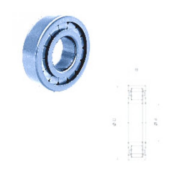 F-211978.01 INA Cylindrical roller bearing #2 image